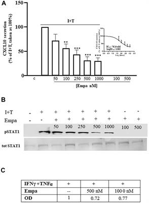 Cell-Target-Specific Anti-Inflammatory Effect of Empagliflozin: In Vitro Evidence in Human Cardiomyocytes